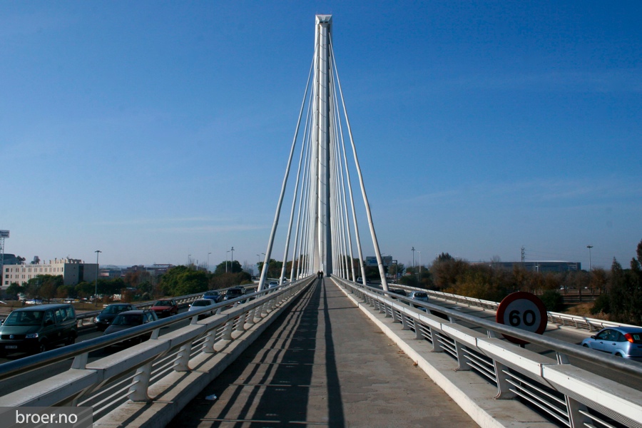 picture of Alamillo bridge
