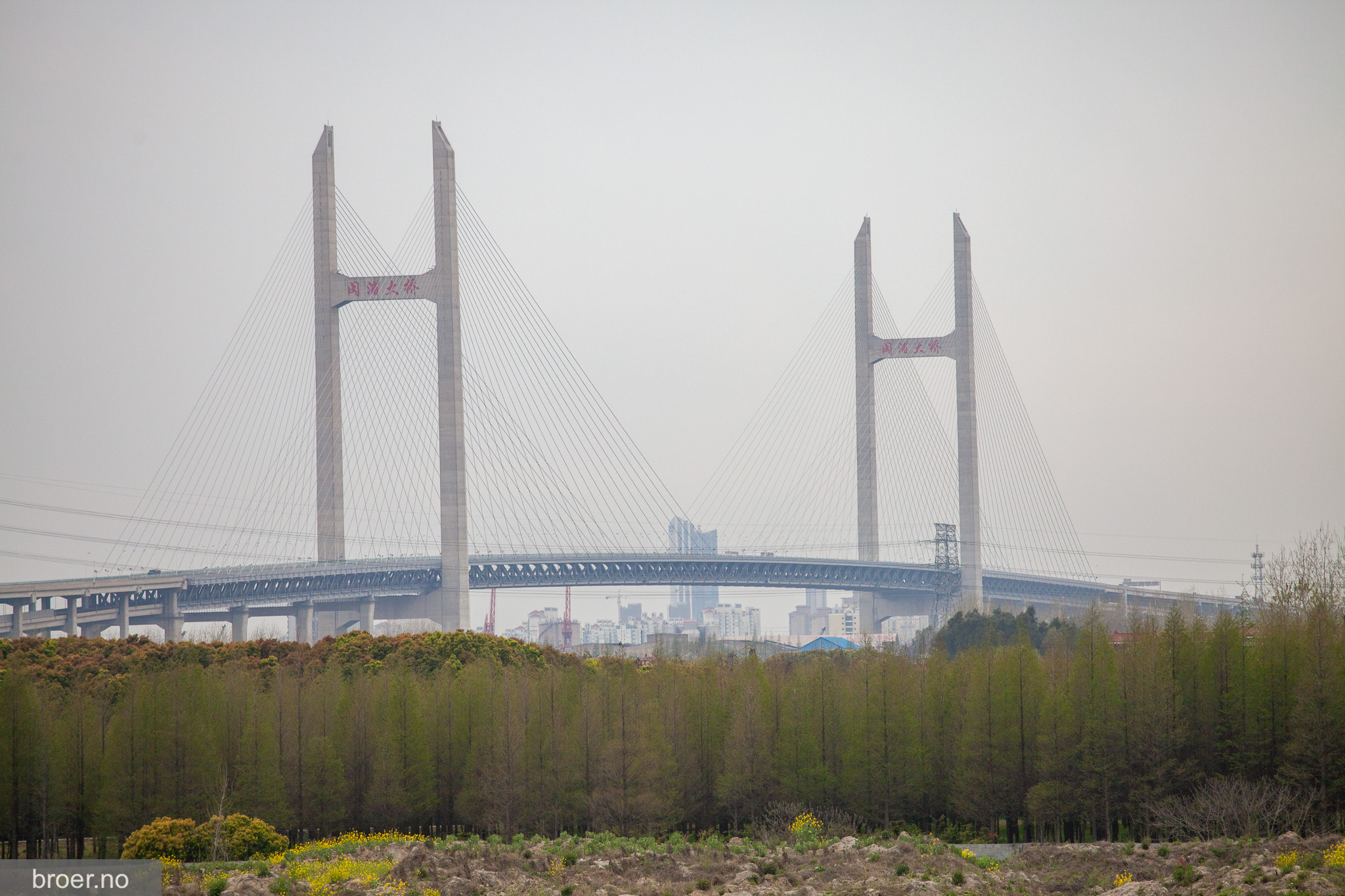 bilde av Minpu Bridge