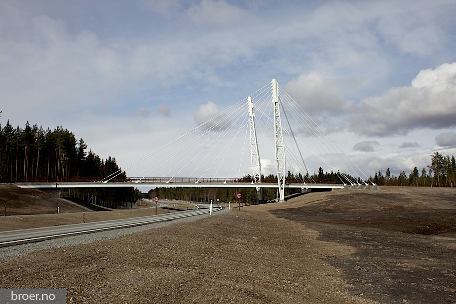 picture of Kolomoen Bridge