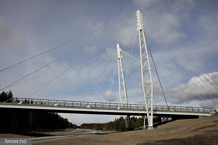 picture of Kolomoen Bridge