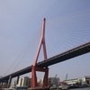 Yangpu Bridge